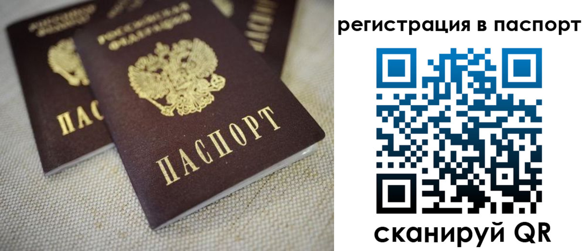 прописка гарантия в Богучаре